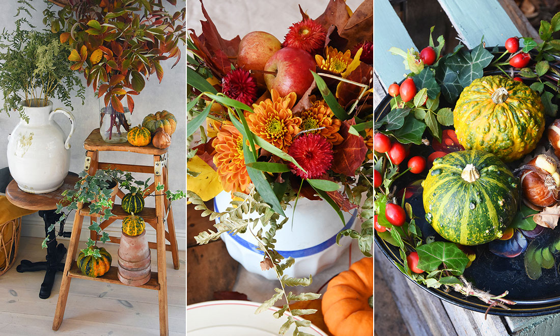 Höstpynt med bär, pumpor och löv: 6 fina idéer att inspireras av