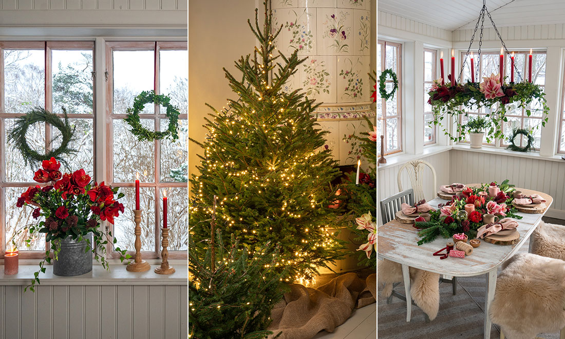 Så ska pyntet, växterna och granen se ut 2024 – enligt ny rapport