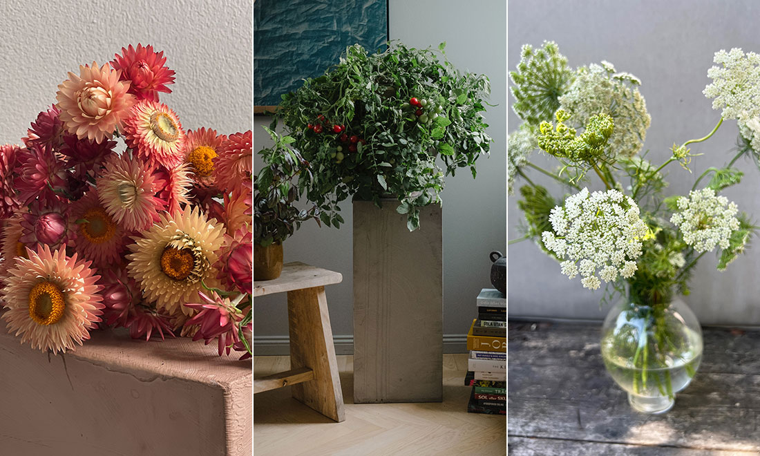 Kända trädgårdsprofilerna: Här är blommorna och växterna vi kommer välja 2025