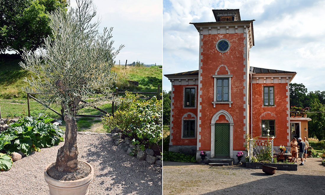 Linda och Karl-Gustav från Drömträdgården skapade en italiensk trädgård – kika in