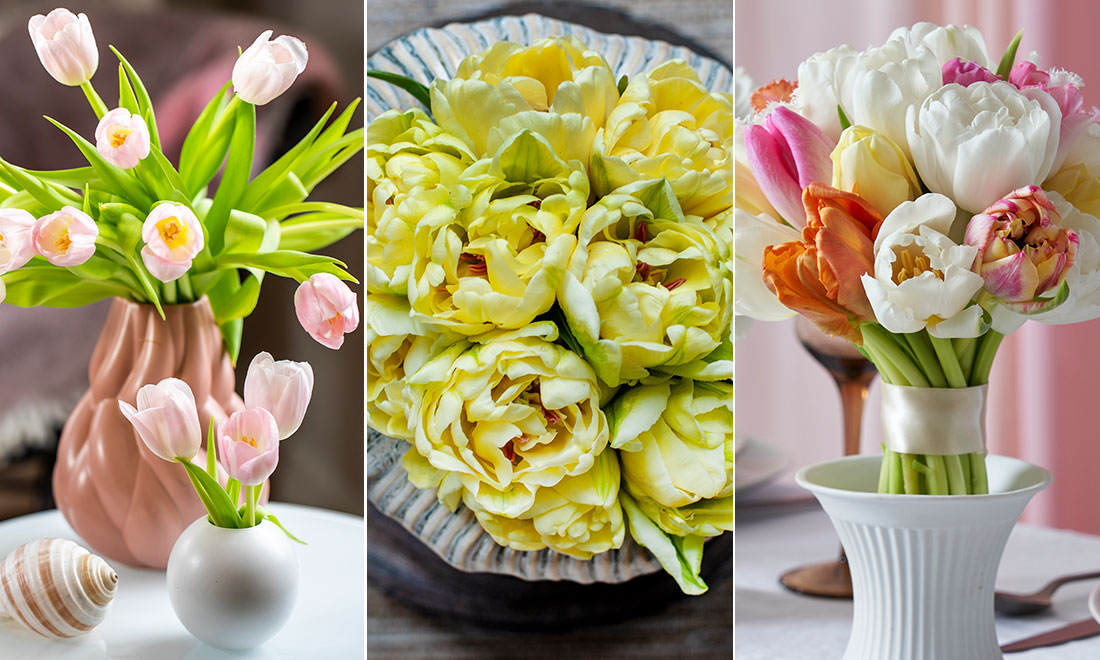 Trend: Här är tulpanerna som nästan alla väljer i butiken