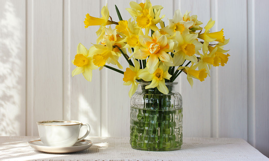 Så undviker du att påskliljorna skadar dina andra blommor