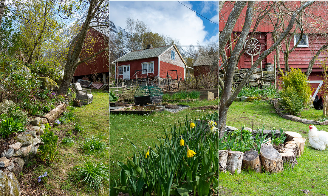 Inspireras av den vackra skogsträdgården – tips för att lyckas