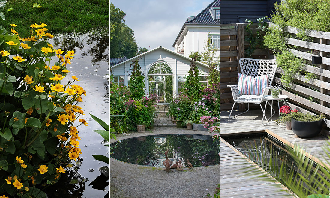 Skapa harmoni i trädgården med vattenspeglar och dammar – viktiga tips och vattenväxter