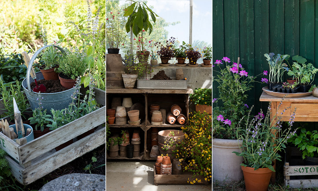 8 smarta tips för vårträdgården