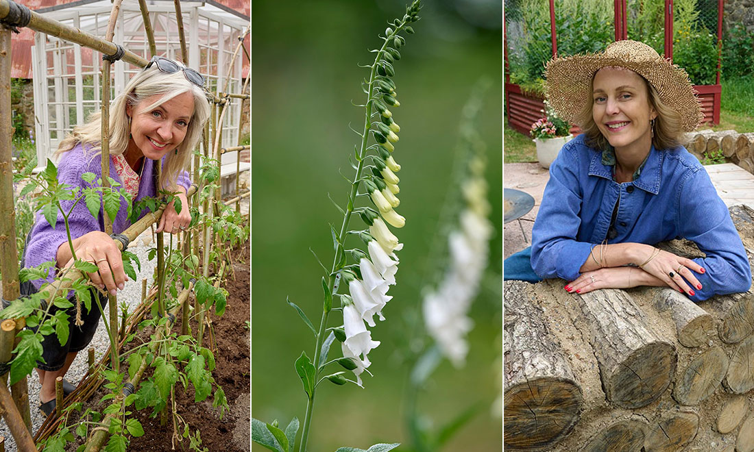 Nya Trädgårdstider 2025: ”Ett inslag som tv-tittarna kommer att uppskatta”