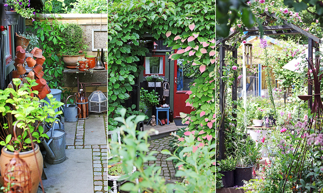 Paret bor i kolonistugan hela hösten – från igenväxt tomt till sagolik oas